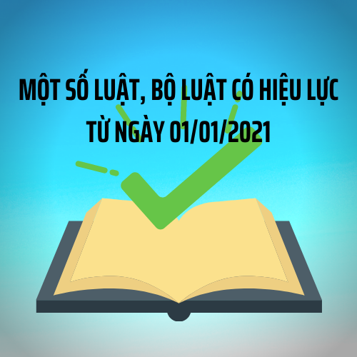 Read more about the article Một số Luật và Bộ Luật mới có hiệu lực thi hành kể từ ngày 01/01/2021